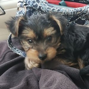 Meet your Posher, Mindy